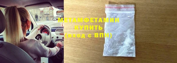 прущие грибы Корсаков