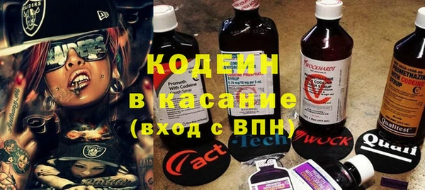 прущие грибы Корсаков
