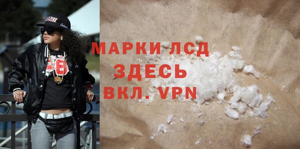 прущие грибы Корсаков