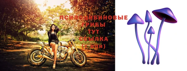 марки nbome Коряжма
