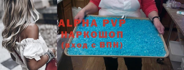 прущие грибы Корсаков