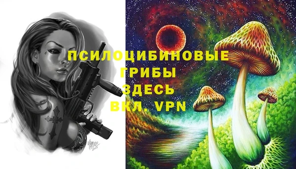 прущие грибы Корсаков