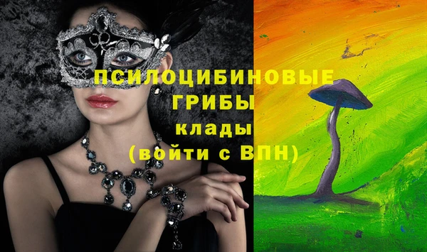 прущие грибы Корсаков