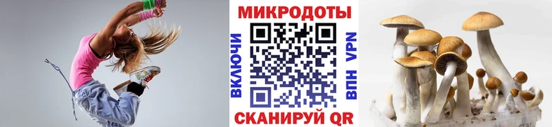 Галлюциногенные грибы Psilocybe  Купить где  Гаврилов Посад 